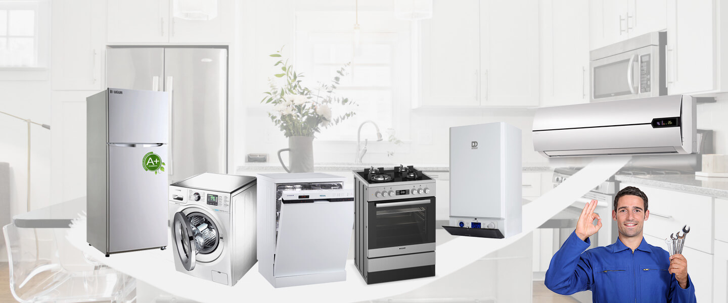 Bademler Dominox Servisi